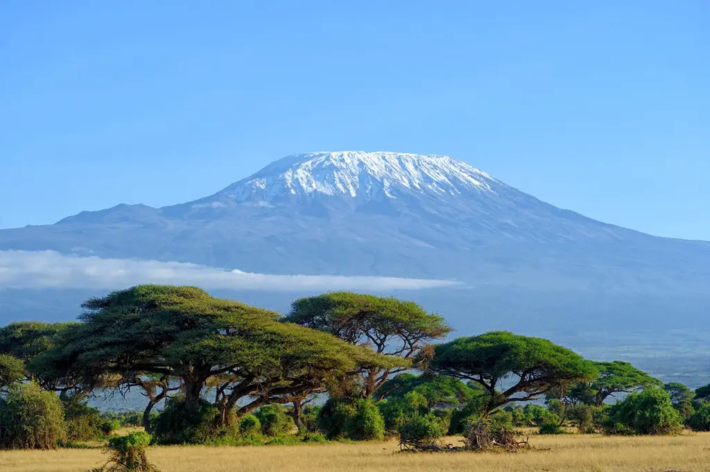 كليمنجارو .الصورة من iStock/Byrdyak