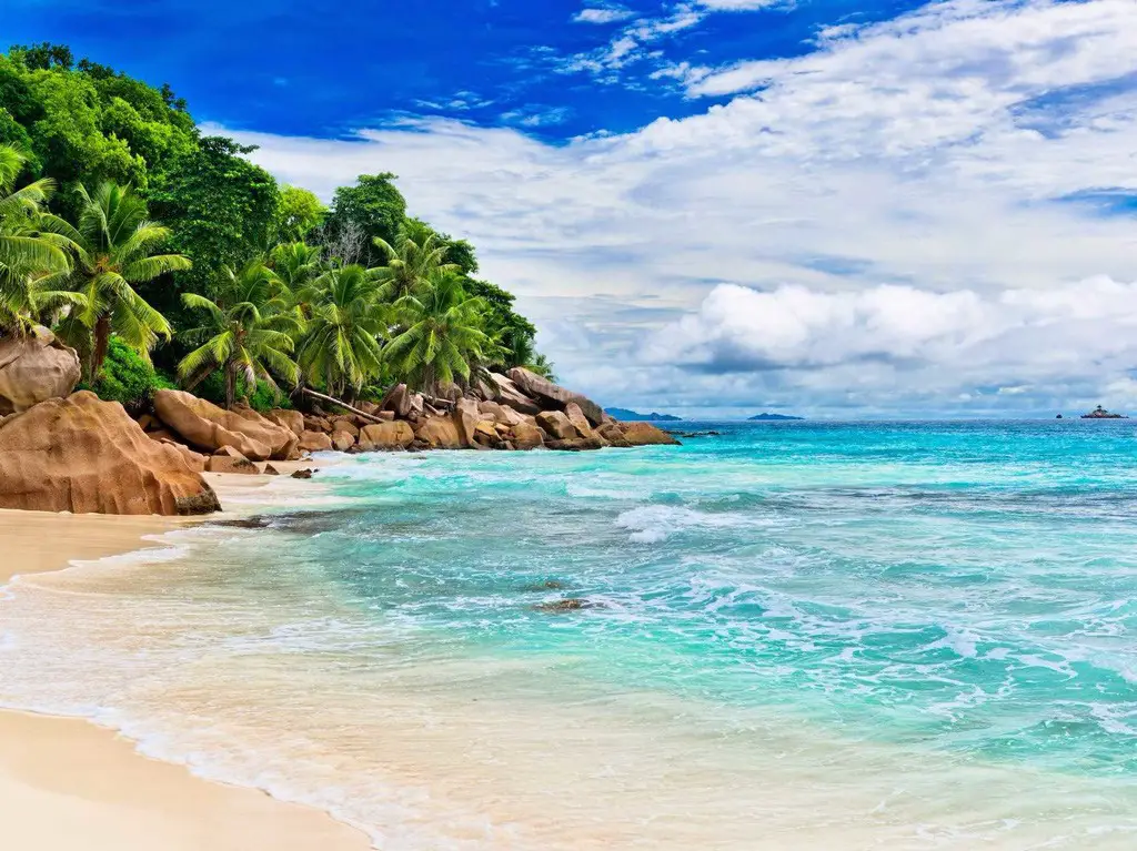 شاطئ استوائي في سيشل. الصورة من Shutterstock / Vitaly Raduntsev