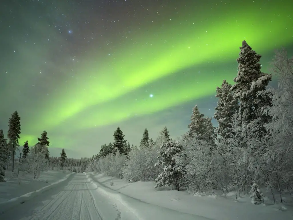 الشفق القطبي. صورة: Sara Winter/Shutterstock