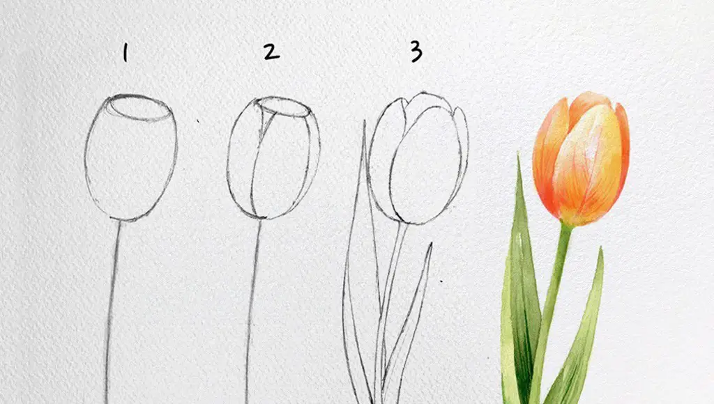 تعلم مع هذه الفنانة الكورية طريقة رسم الزهور الجميلة خطوة بخطوة